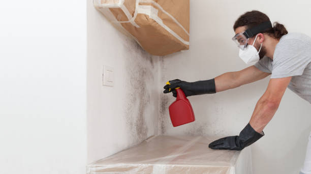Professional Crawl Space Mold Remediation technician working in Flanders, NY